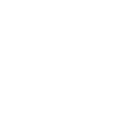 The Art of Dental Wellness